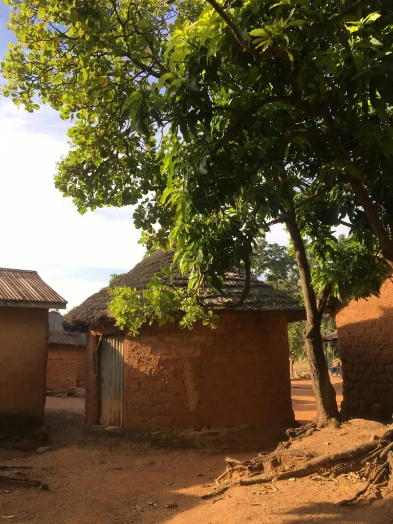 Scenic view of rustic mud houses and lush green trees in a rural village setting.